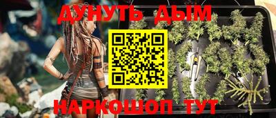 a pvp Новокубанск