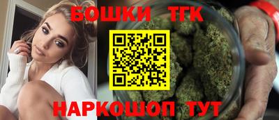 стаф Новодвинск